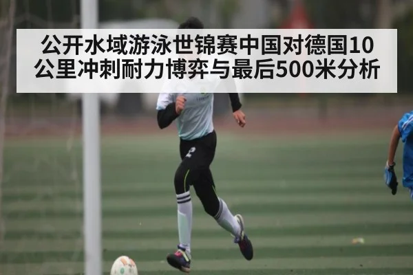 公开水域游泳世锦赛中国对德国10公里冲刺耐力博弈与最后500米分析