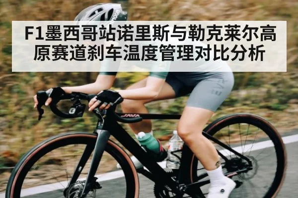 F1墨西哥站诺里斯与勒克莱尔高原赛道刹车温度管理对比分析